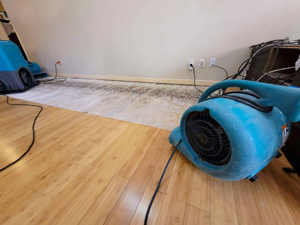 Professional Water Removal technician working in Goshen, AR